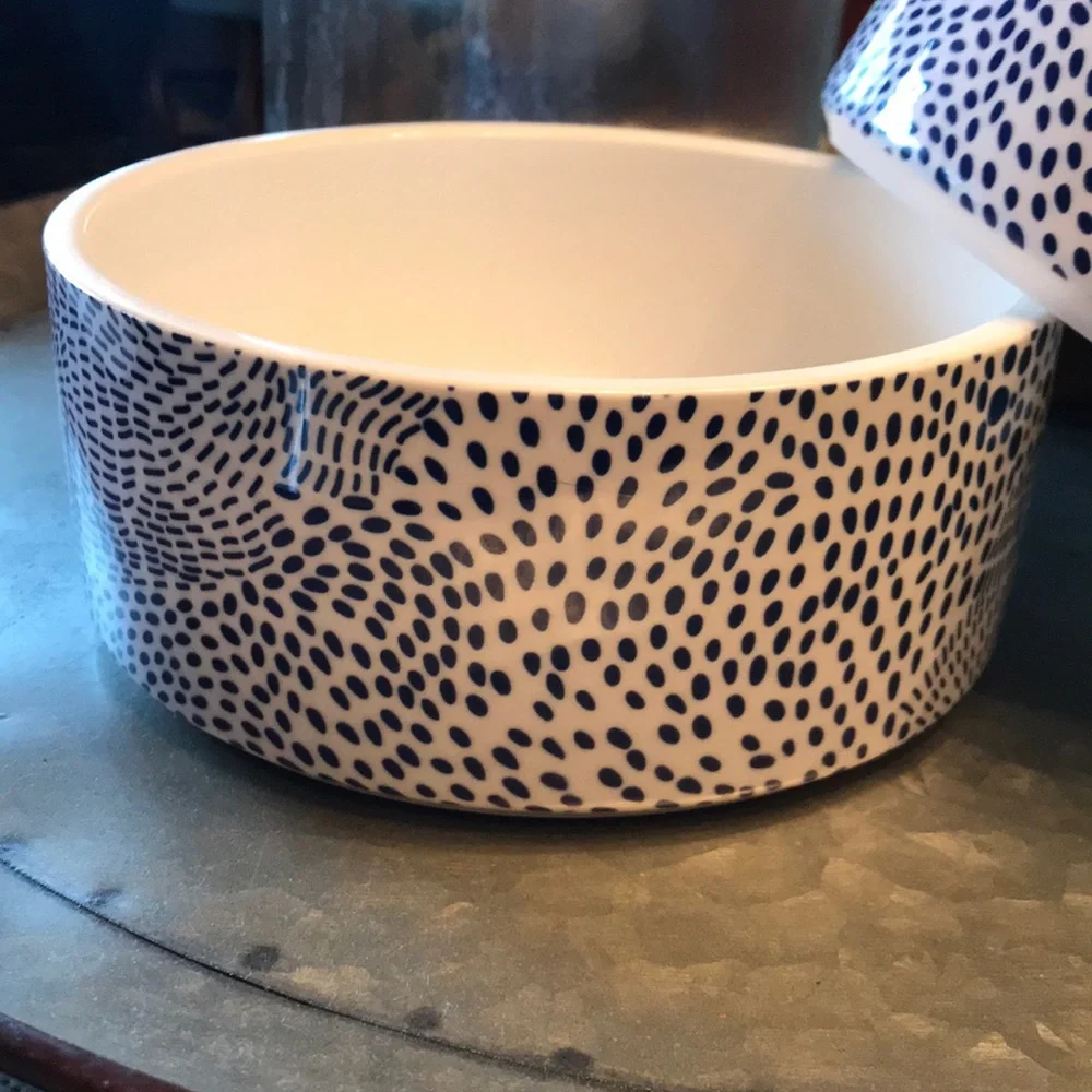 Modern Ceramic Dog Bowl in Blue Dot Pattern
